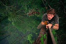 Self portrait of biologist / photographer, Tim Laman, climbing a rope into the rainforest canopy in Borneo. Gunung Palung National Park, Borneo, West Kalimantan, Indonesia