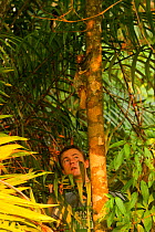Director, Jeff Wilson, tracking Colugo / Flying lemurs (Galeopterus vairegatus) in Bako National Park, Borneo, filmed for BBC PLanet Earth series, Jungles episode. 2006