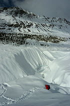 Camera crew searching for crevasse to film in, Gorner glacier, near Zermatt in the Swiss Alps, Switzerland. For BBC Planet Earth series, Mountains episode, 2006
