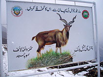 Chitral National Park sign depicting a Markhor in the Hindu Kush, North West frontier, Pakistan, on location for BBC Planet Earth series, 2005.