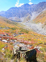 Filming hide set up within Chitral National Park for filming Snow Leopard (Panthera uncia) for BBC Planet Earth series, Mountains episode, 2005