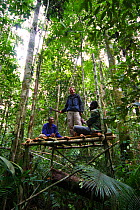 Jeff Wilson and field assistants build tree hide for filming Birds of Paradise, tropical rainforest, Papua New Guinea. For BBC Planet Earth, Jungles episode, 2005