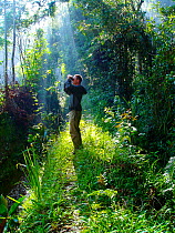 Jeff Wilson searching for Birds of Paradise, tropical rainforest, Papua New Guinea. For BBC Planet Earth, Jungles episode, 2005