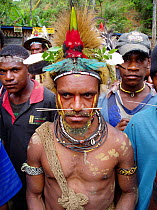 Portrait of Huli tribesman, and villagers, who helped film crew film Birds of Paradise, Papua New Guinea. Filming for BBC Planet Earth, Jungles episode, 2005