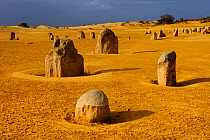 Limestone formations in the Pinnacles desert, Nambung National park, Western Australia. July 2009