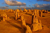 Aerial view of Limestone formations in the Pinnacles desert, Nambung National Park, Western Australia. July 2009