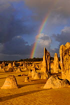 Rainbow over the Limestone formations in the Pinnacles desert, Nambung National Park, Western Australia. July 2009
