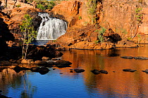 Edith falls, Nitmiluk National Park, Northern territory, Australia. July 2009