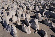 Rock formations, Kimberley sand beach, Western Australia. July 2009