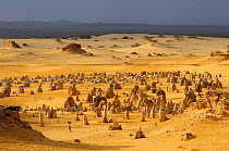 Aerial view of Limestone formations in the Pinnacles desert, Nambung National Park, Western Australia. August 2009
