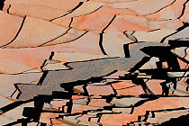 Detail of rock slab fragments, Hamersley gorge, Karijini National Park, Pilbara, Western Australia. August 2009