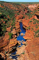 Aerial view of the Murchison river gorge, Kalbarri National Park, Western Australia. August 2009