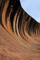 Wave rock, an eroded granite plateau, Hyden area, Western Australia. August 2009