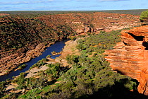 Aerial view of Murchison river gorge, Kalbarri National Park, Western Australia. August 2009