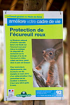 Public information sign in Parc de Sceaux, Paris, France, depicting a Red squirrel (Sciurus vulgaris) and detailing the radio collar tracking reserach / conservation efforts there