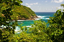 View from Carib / Kalinago Indian Reserve on the East coast of Dominica, West Indies, Caribbean. July 2008.