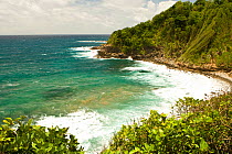 View of beach at Carib / Kalinago Indian Reserve on the East coast of Dominica, West Indies, Caribbean. July 2008.