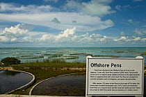 Conch (Strombidae) farm, with offshire pens sign. The only farm of its kind in the world. Provodenciales, Turks and Caicos, Caribbean. June 2007