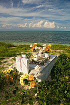 Gravestone and flowers, Beachside cemetery in Blue Hills, Provodenciales, Turks and Caicos, Caribbean. June 2007.
