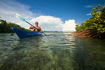 Woman on kayaking tour to Mangrove Cay, Provodenciales Island, Turks and Caicos, Caribbean. Model released. June 2007.