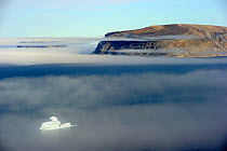 Small iceberg in the fog, Sunshine fjord, Baffin Island, Nunavut, Canada, August 2010