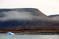 Iceberg and small fragments of ice near coastline, Croker Bay, Devon Island, Nunavut, Canada,  August 2010