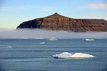 Several icebergs floating along the coast of Croker Bay, Devon Island, Nunavut, Canada, August 2010