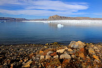 Icebergs and glacier, Croker Bay, with colourful lichen on rocks along coastline,  Devon Island, Nunavut, Canada,  August 2010