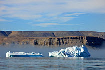 Icebergs floating in Croker Bay, with striated sedimentary cliffs of coastline behind, Devon Island, Nunavut, Canada,  August 2010