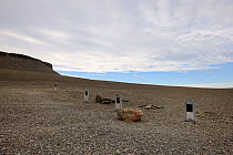 Graves of Sir John Franklin's sailors dated 1846 on Beechey Island close to Devon Island. St John Franklin left England in 1845 and searched for the Northwest Passage. Nunavut, Canada.  August 2010
