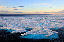 Icepack in summer. Devon Island, Nunavut, Canada,  August 2010