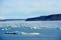 Iceberg and glacier, Croker Bay, Devon Island, Nunavut, Canada,  August 2010