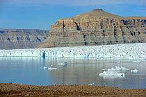 Icebergs and glacier, Croker Bay, with striated sedimentary cliffs,  Devon Island, Nunavut, Canada,  August 2010