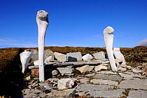 Inuit vestige from the Thule culture (-3000 BC) Resolute village, Cornwallis Island, Nunavut, Canada, August 2010