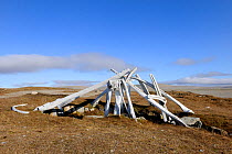 Inuit vestige built from whale bone from the Thule culture (-3000 BC) Resolute village, Cornwallis Island, Nunavut, Canada, August 2010