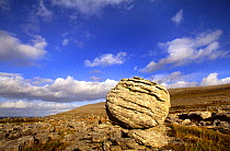 Glacial erratic boulder, in limestone landscape, The Burren, Country Clare, Republic of Ireland.