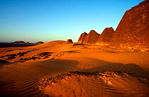 View of the Pyramid Complex, Meroe, north Sudan
