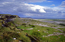 Limestone landscape, The Burren, County Clare, Republic of Ireland.