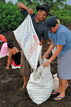The community of Ostional on the Pacific coast of Costa Rica, runs a project of sustainable use of eggs of the Olive ridley sea turtle (Lepidochelys olivacea). The eggs, a popular snack in Costa Rica,...