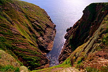 Looking down at an inlet in the rocky coastline of Buchan, Aberdeenshire, Scotland, August 2010.