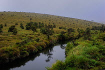 View of river, and surrounding grassland, Horton Plane National Park, Sri Lanka, June 2010