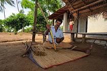 Man sitting on mat outside his home, preparing Cinnamon (Cinnamomun sp.) Madu River, Sri Lanka. June 2010