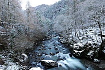 River Glaslyn in winter, Bedgellert, Snowdonia NP, Wales, January 2010.
