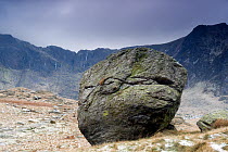 A 'glacial erratic' or boulder deposited by retreating ice, outside Cwm Idwal, Snowdonia National Park, Wales, January 2009