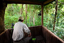 Man observing lowland rainforest from canopy platform, Masoala Peninsula National Park, north east Madagascar, October 2009