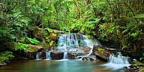 Sacred waterfall and pool in montane rainforest. Andasibe-Mantadia NP, Eastern Madagascar, October 2009