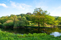 Woodland surrounding on Rydal Lake, Lake District NP, Cumbria, England, UK. June 2010