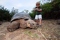 Young boy taking photo of Galapagos giant tortoise (Geochelone elephantopus) at Charles Darwin Research Station in Puerto Ayora, Santa Cruz Island, Galapagos, Ecuador. Model released.