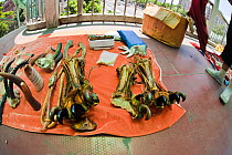 Street stall on overpass selling Tiger (Panthera tigris) paws and other animal products for use in traditional Chinese medicine. Guangzhou, South Western China.