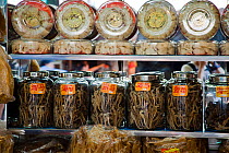 Jars full of dried Seahorse (Hippocampus) for sale at medicine shop in Guangzhou, China. Seahorses are dried for use as aphrodisiacs in Chinese medicine.
